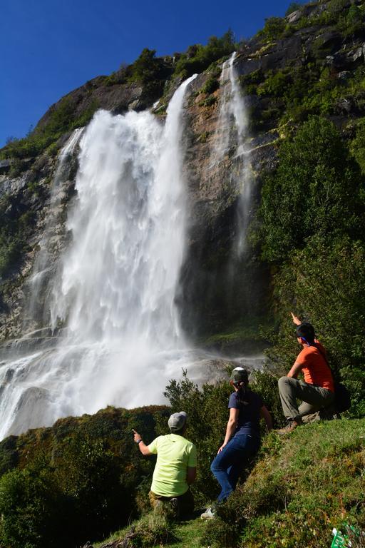 Mitico Puelo Lodge Las Gualas Екстериор снимка